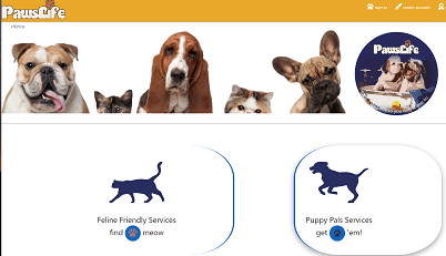 A website with a navbar in yellow on top with the name PawsLife, below that is a banner taking a third of the vertical space with pets headshots from left to right of a bulldog, calico cat, basset hound, an exotic short hair cat, and french bulldog puppy.  The lower 2thirds has side by side large buttons. Left button has an sillhouette of a walking cat title under 'Feline Friendly Services.The right is a sillhouette of a dog running playfully title under 'Puppy Pals Services'.